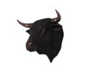 Imperial Spanish Fighting Bull Head Wall Decor