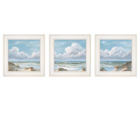 Trendy Decor 4U "Beautiful Day I,II, III" Framed Wall Art, Modern Home Decor 3 Piece Vignette for Living Room, Bedroom & Farmhouse Wall Decoration by