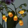 Pineapple String Lights