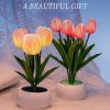 1pc LED Tulip Night Light Simulation Flower Table Lamp; Home Decoration Atmosphere Lamp; Romantic Potted Gift For Office; Room; Bar; Cafe