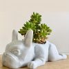 1pc Mini Resin Puppy Flower Pot