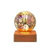 Fireworks Crystal Ball Light