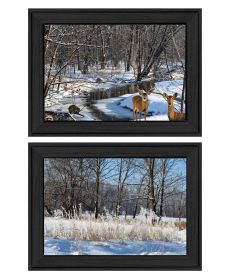 "Great Outdoors-Nature/Winter Forest" 2-Piece Vignette by Trendy Decor 4U, Ready to Hang Framed Print, Black Frame (Gray: as Pic)