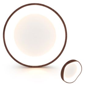 Modern Simple Ceiling Light (Type: Ceiling Light, Gray: Brown)