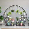 5-Layer Semi-Circle Shelves w/ Hooks