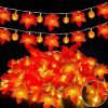 3 Pack Pumpkin & Enlarged Maple Fall String Lights