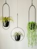 Modern Flower Pot Plant Holder