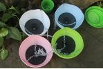 Self-Watering Indoor/Outdoor Hanging Pot