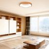 Modern Simple Ceiling Light