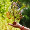 Chakra Crystal Tree of Life