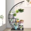 5-Layer Semi-Circle Shelves w/ Hooks