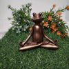 Meditation Yoga Frog