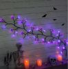 6 Ft LED Halloween Light String